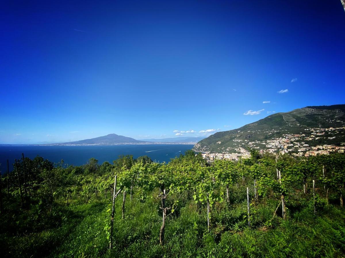 La Badia Montechiaro - Breathtaking View Of Sorrento Coast Vila Vico Equense Exterior foto