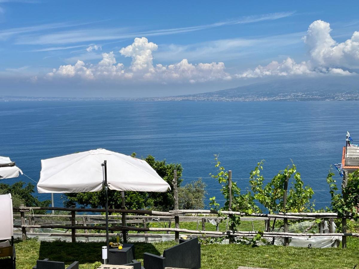La Badia Montechiaro - Breathtaking View Of Sorrento Coast Vila Vico Equense Exterior foto
