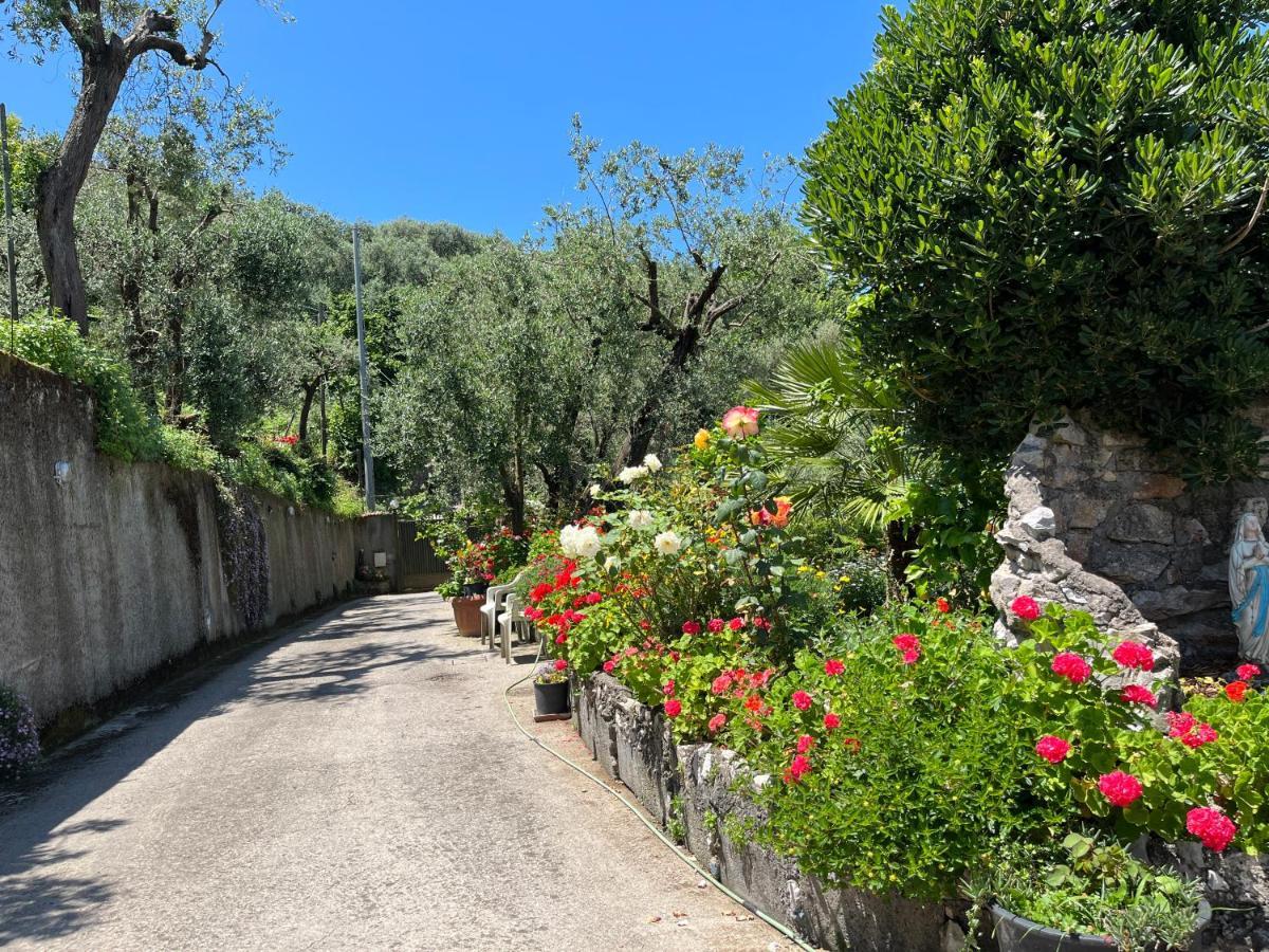 La Badia Montechiaro - Breathtaking View Of Sorrento Coast Vila Vico Equense Exterior foto