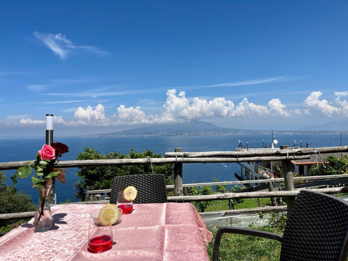 La Badia Montechiaro - Breathtaking View Of Sorrento Coast Vila Vico Equense Exterior foto